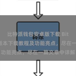 比特派钱包安卓版下载 Bitpie钱包最新版本下载教程及功能亮点，尽在一篇文章中详解