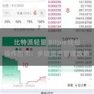 比特派轻量 Bitpie钱包操作指南：多链资产管理攻略