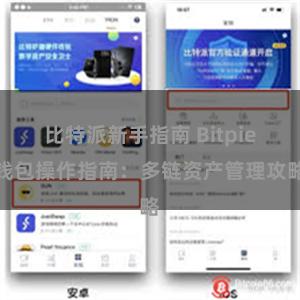 比特派新手指南 Bitpie钱包操作指南：多链资产管理攻略