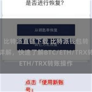 比特派直链下载 比特派钱包转账教程详解，快速了解BTC/ETH/TRX转账操作