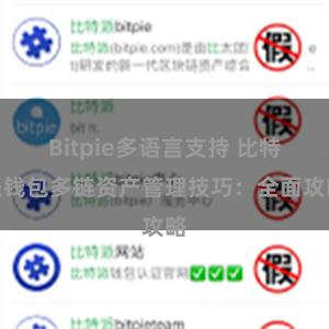 Bitpie多语言支持 比特派钱包多链资产管理技巧：全面攻略