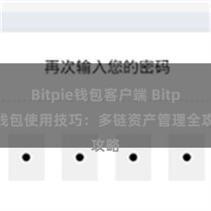 Bitpie钱包客户端 Bitpie钱包使用技巧：多链资产管理全攻略