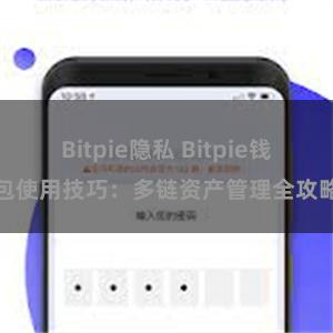 Bitpie隐私 Bitpie钱包使用技巧：多链资产管理全攻略