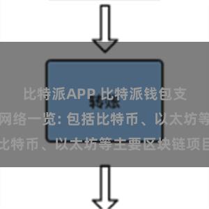 比特派APP 比特派钱包支持的区块链网络一览: 包括比特币、以太坊等主要区块链项目