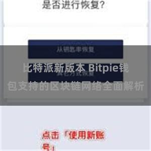 比特派新版本 Bitpie钱包支持的区块链网络全面解析