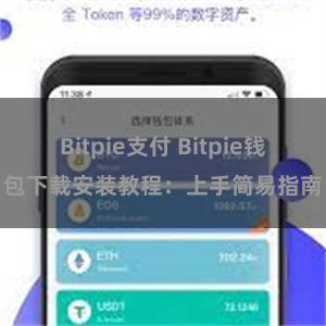 Bitpie支付 Bitpie钱包下载安装教程：上手简易指南