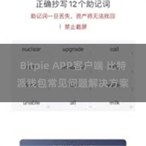 Bitpie APP客户端 比特派钱包常见问题解决方案