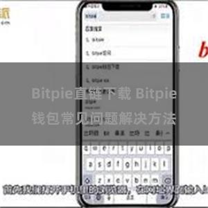 Bitpie直链下载 Bitpie钱包常见问题解决方法