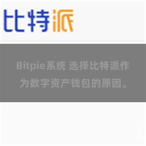 Bitpie系统 选择比特派作为数字资产钱包的原因。