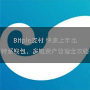 Bitpie支付 快速上手比特派钱包，多链资产管理全攻略