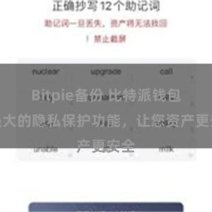 Bitpie备份 比特派钱包：强大的隐私保护功能，让您资产更安全