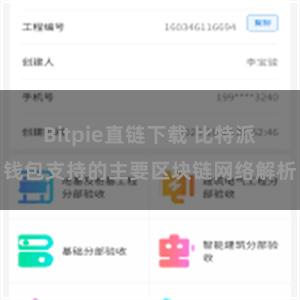 Bitpie直链下载 比特派钱包支持的主要区块链网络解析