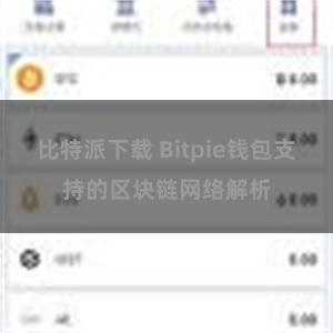 比特派下载 Bitpie钱包支持的区块链网络解析