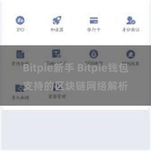 Bitpie新手 Bitpie钱包支持的区块链网络解析