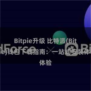 Bitpie升级 比特派(Bitpie)钱包下载指南：一站式安装体验