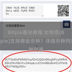 Bitpie备份教程 比特派(Bitpie)支持哪些币种？详细币种列表