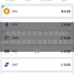 比特派多币支持 比特派(Bitpie)钱包的团队背景与技术实力