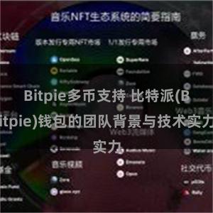 Bitpie多币支持 比特派(Bitpie)钱包的团队背景与技术实力