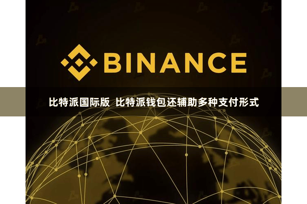 比特派国际版  比特派钱包还辅助多种支付形式