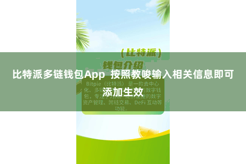 比特派多链钱包App  按照教唆输入相关信息即可添加生效